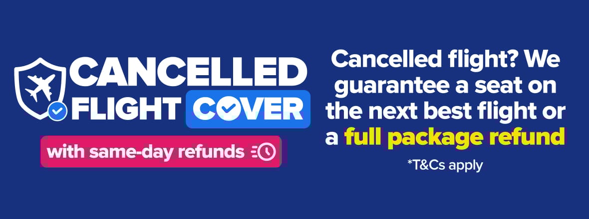 Cancelled Flight Cover Homepage Banner (Mobile)