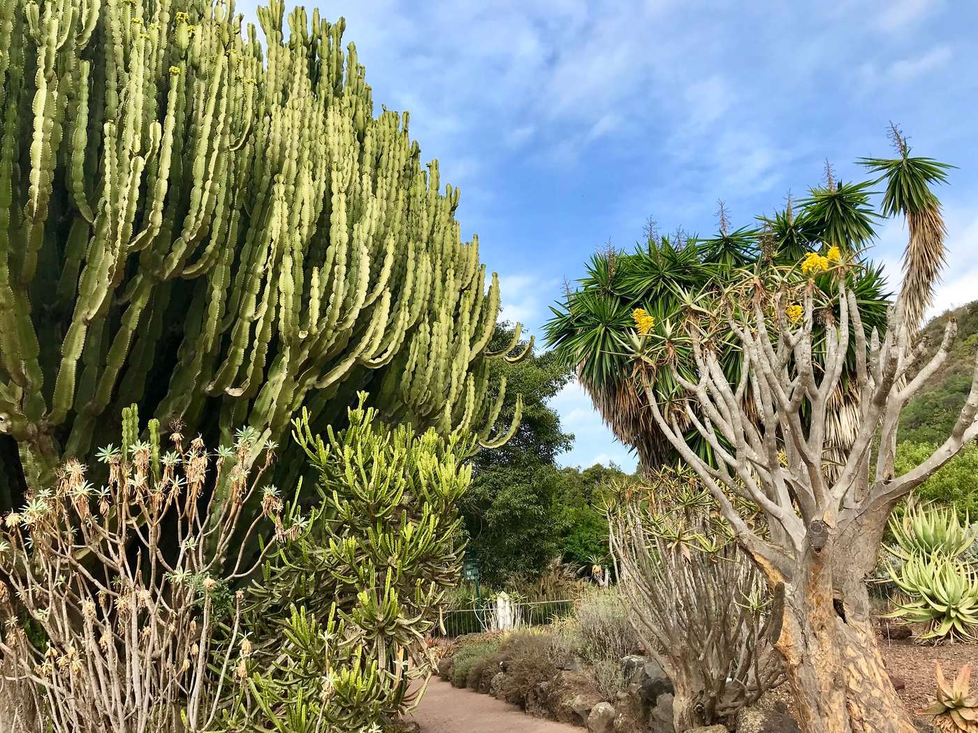 Cactualdea Park, Gran Canaria.