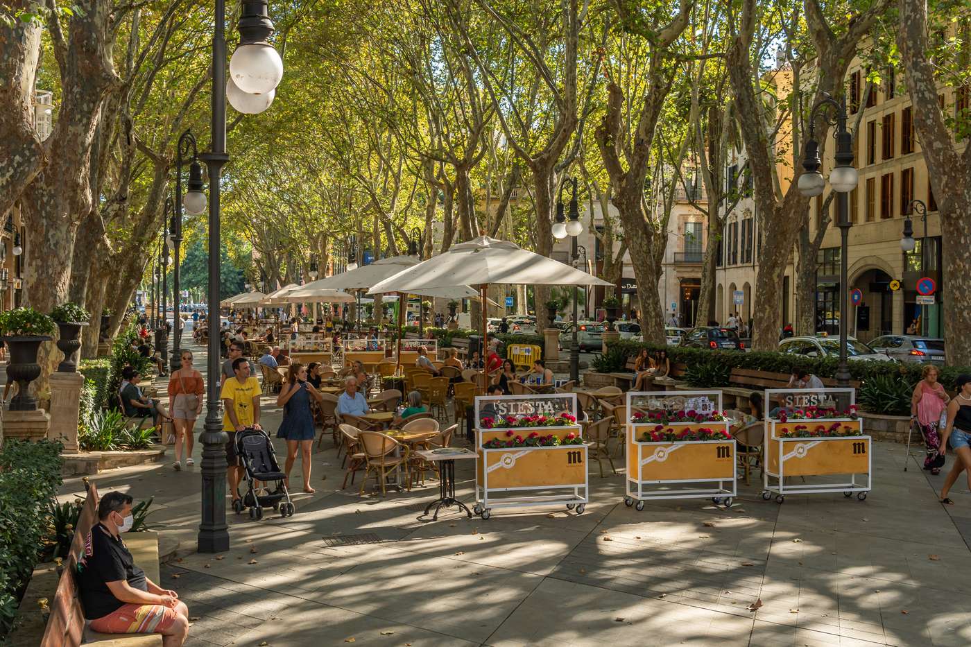 Palma de Mallorca, Spain; september 10 2021: General view of the Paseo del Borne in the historic center of Palma de Mallorca at sunset. Terrace of cafes with customers having a drink