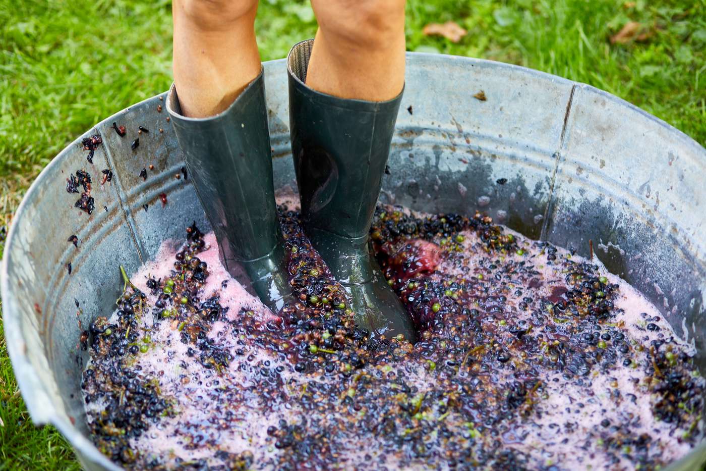 Grape stomping