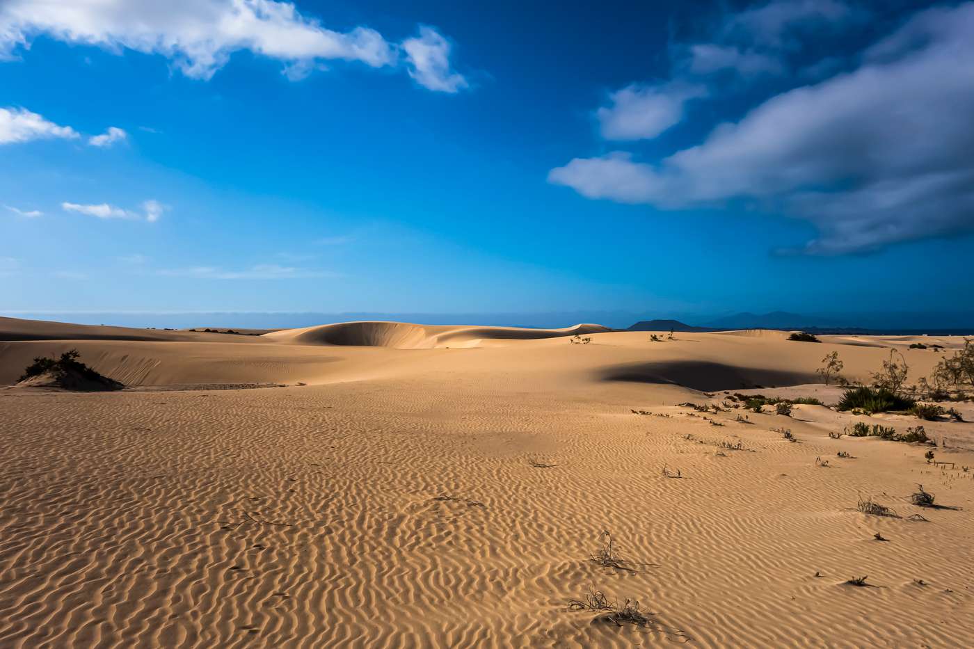 Corralejo  dunes