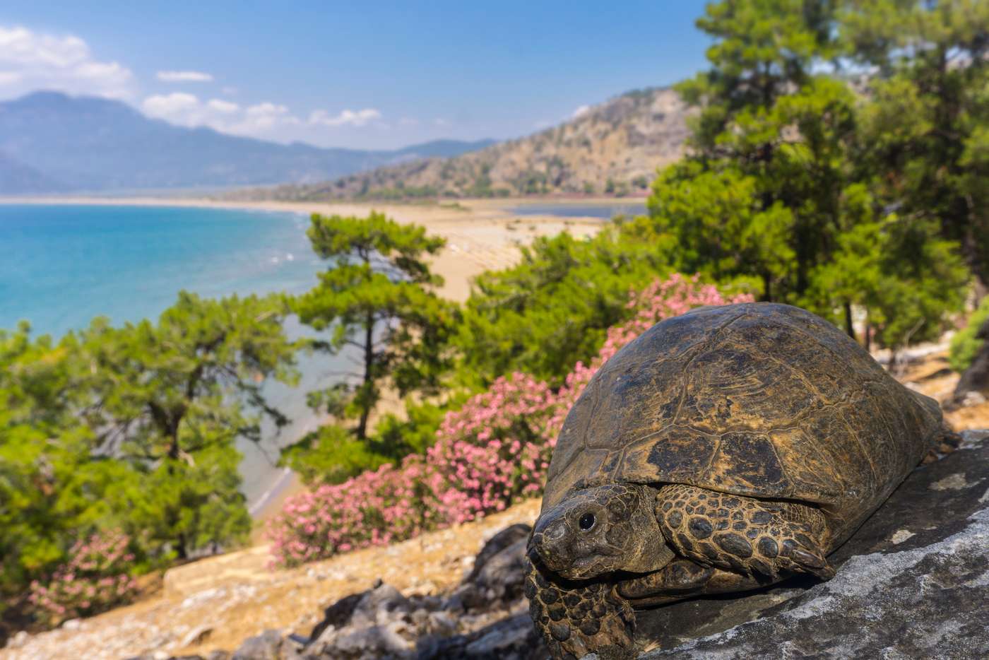 İztuzu Beach in Dalyan, Turkey