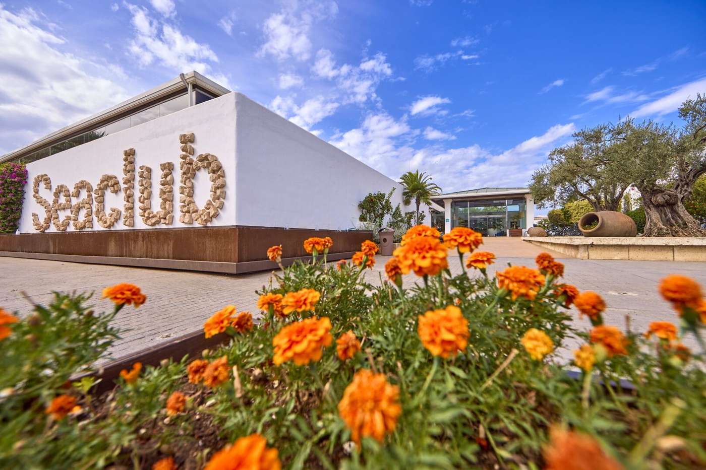 A SeaClub Alcudia hotel