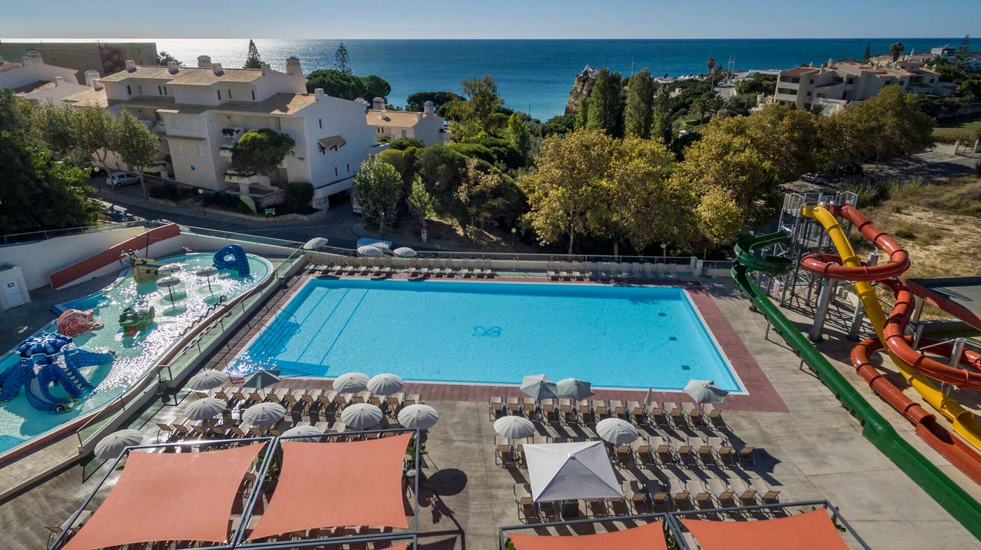 19.01.26 Ukino Palmeiras