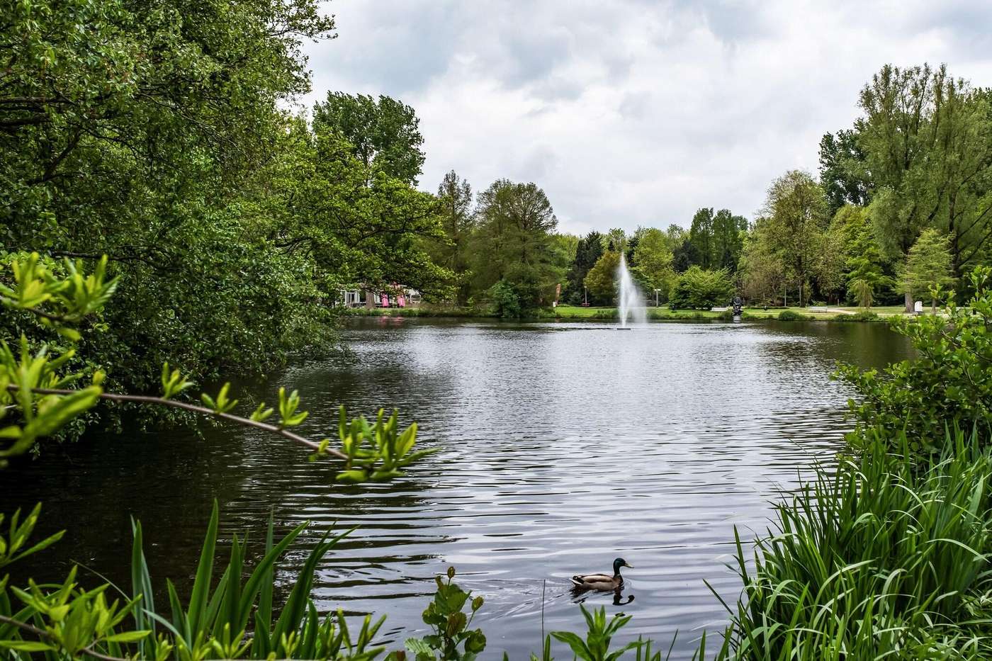 Element Amsterdam-Netherlands-AMSTERDAM-General view-3