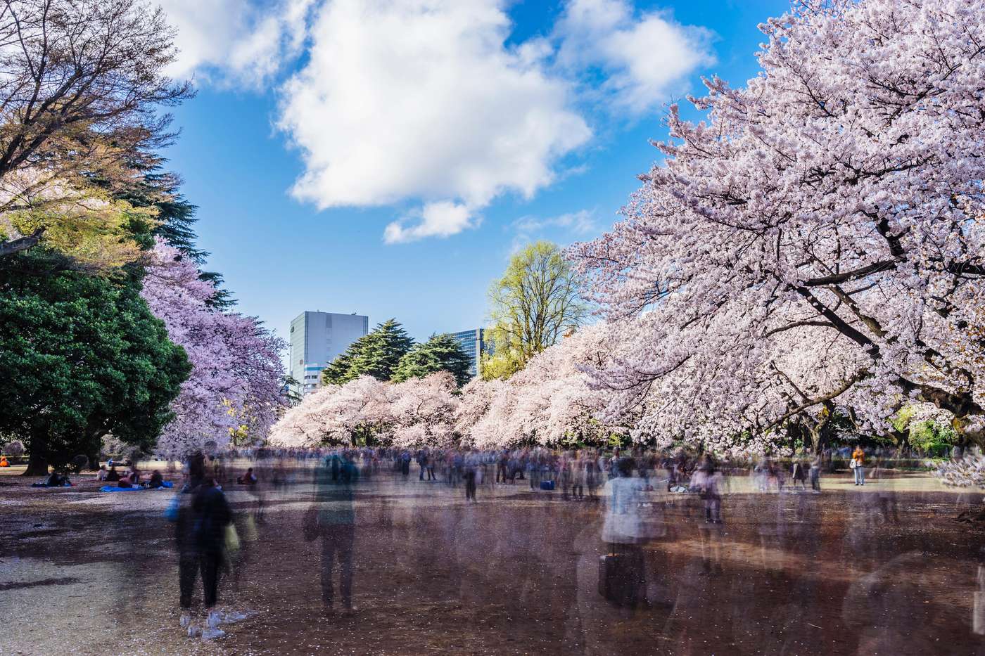 Kimpton Shinjuku Tokyo-Japan-Tokyo-General view-1