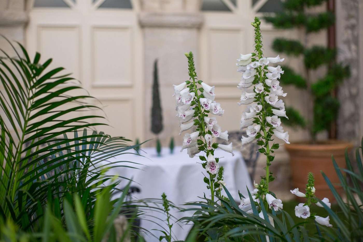 Hotel d'Europe-France-Avignon-Lobby-9