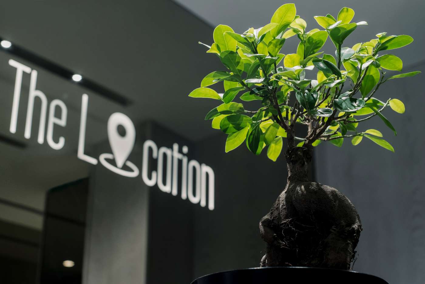 The Location Hotel-Serbia-Belgrade-General view-3