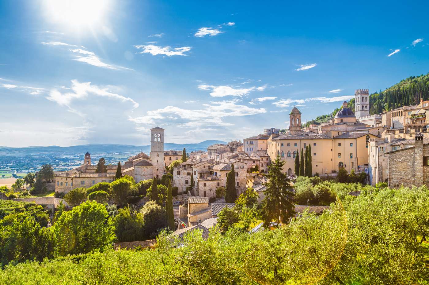 Assisi Overview