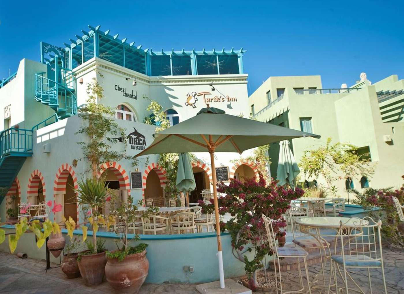 Turtles Inn in Hurghada, Egypt