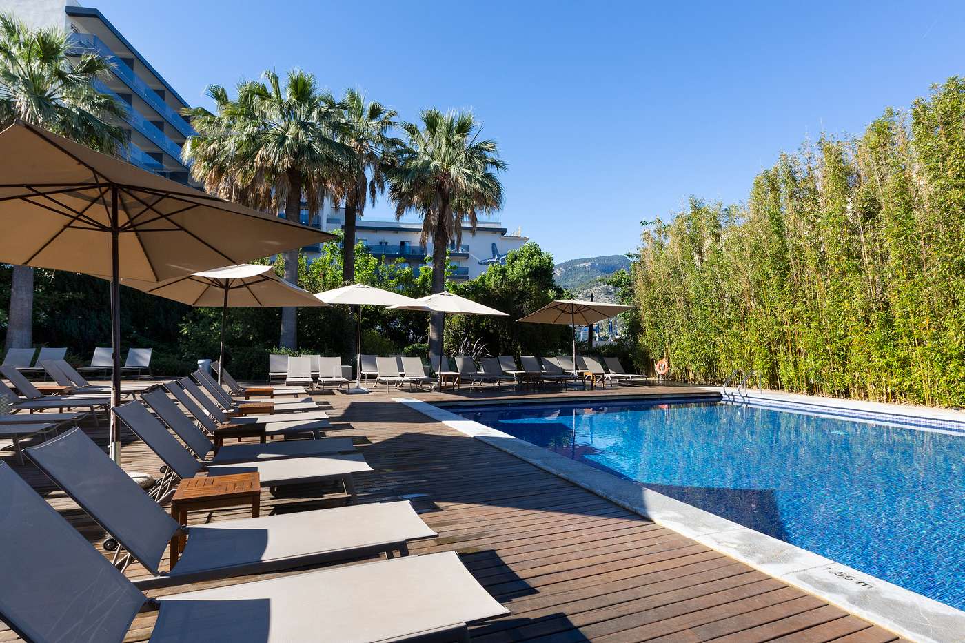 Aimia, Majorca