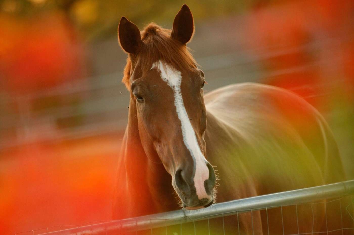 Jw Marriott Camelback Inn Scottsdale Resort & Spa-United States-Paradise Valley-General view-7