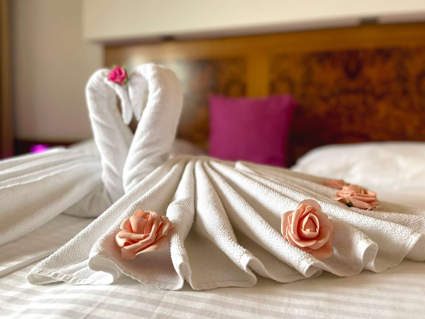 Exclusive-Bosnia & Herzegovina-SARAJEVO-Room-10