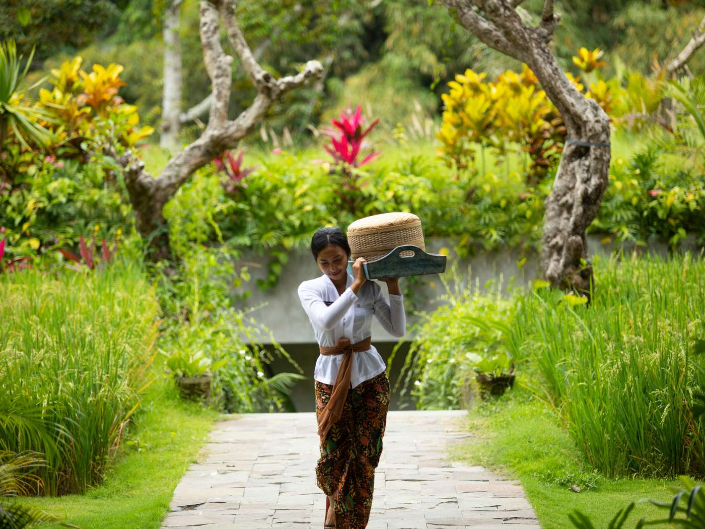 Adiwana Suweta-Indonesia-Ubud-General view-4