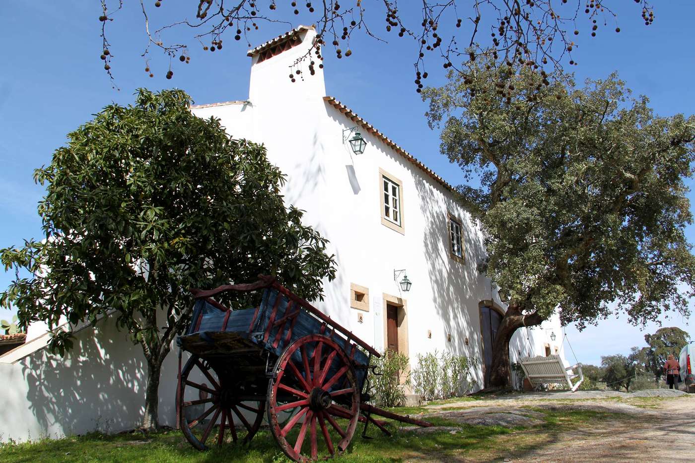 Quinta-dos-Ribeiros-General-view-1