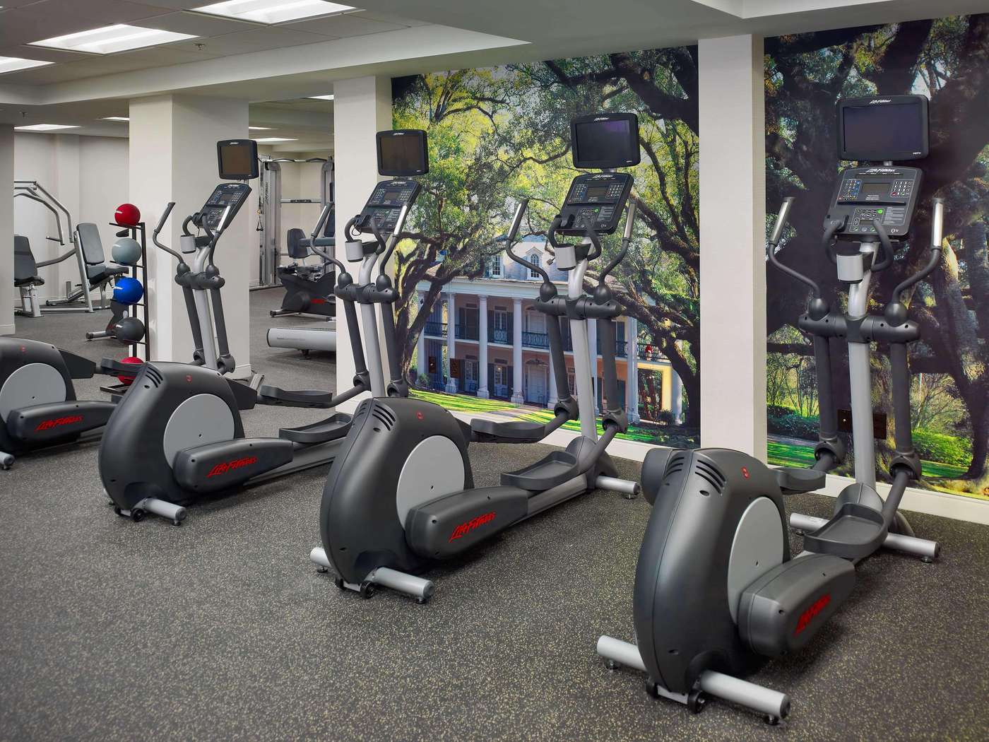 The Royal Sonesta New Orleans - United States - NEW ORLEANS - Sports and Entertainment - 0