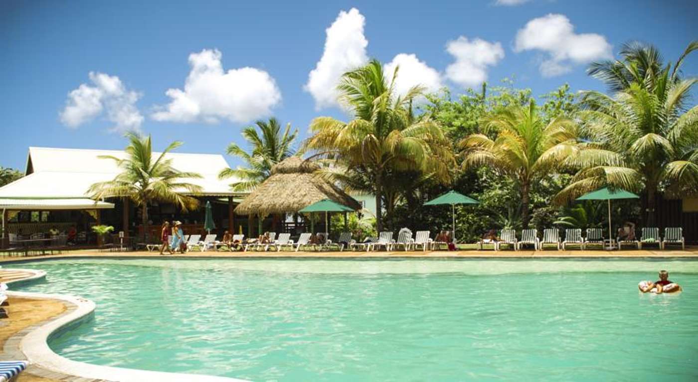Coco Palm in St Lucia