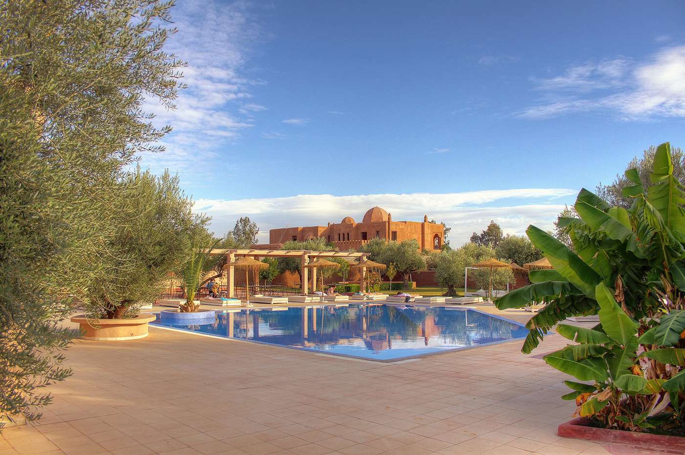Riad-La-Maison-des-Oliviers-Pool-1