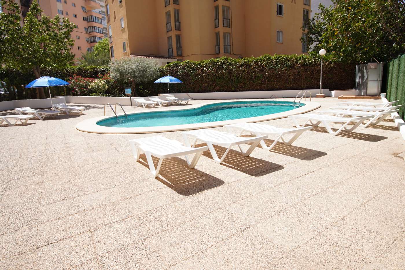Don-Gregorio-Pool-1