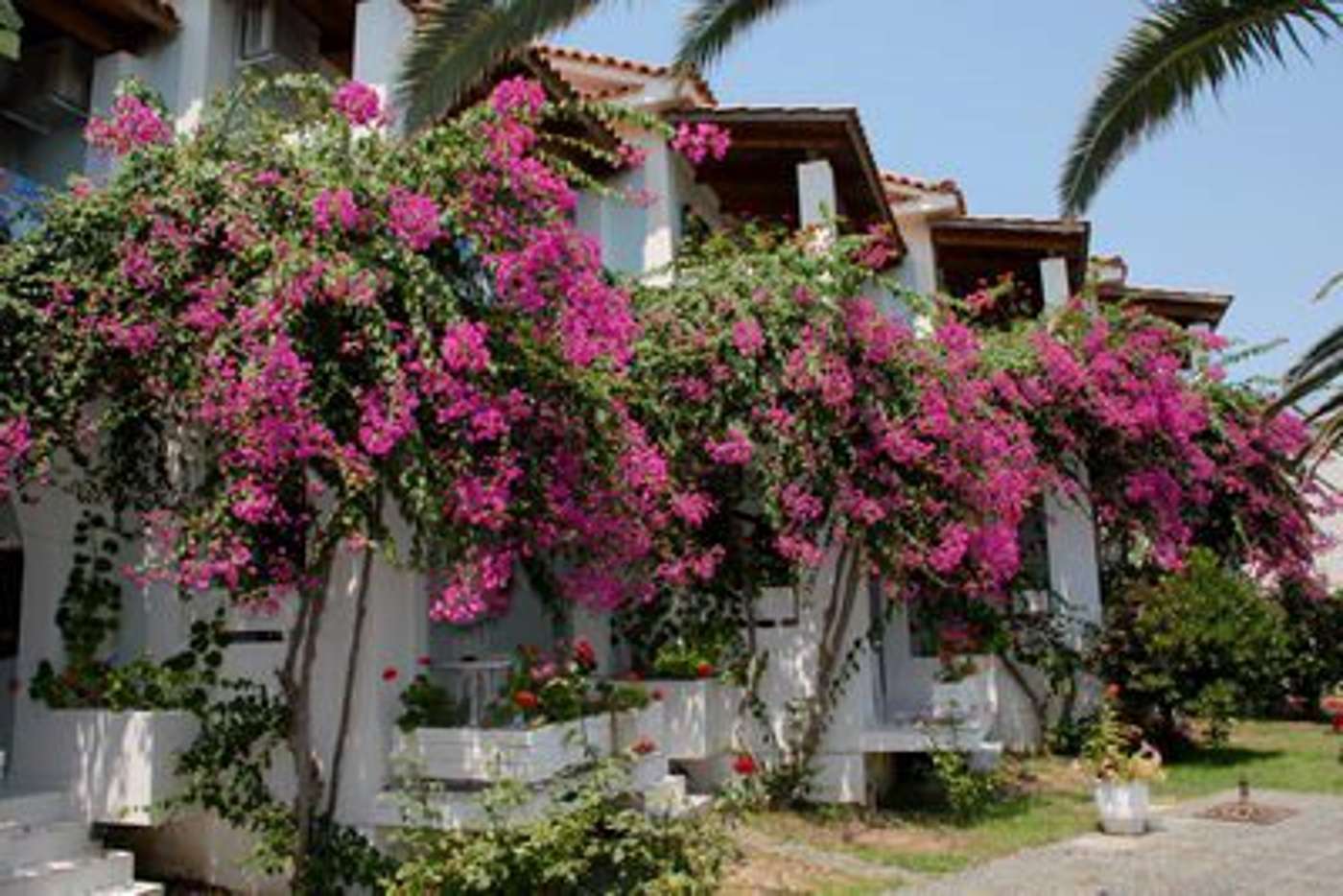 Paradise Hotel Zth in Zante, Greece