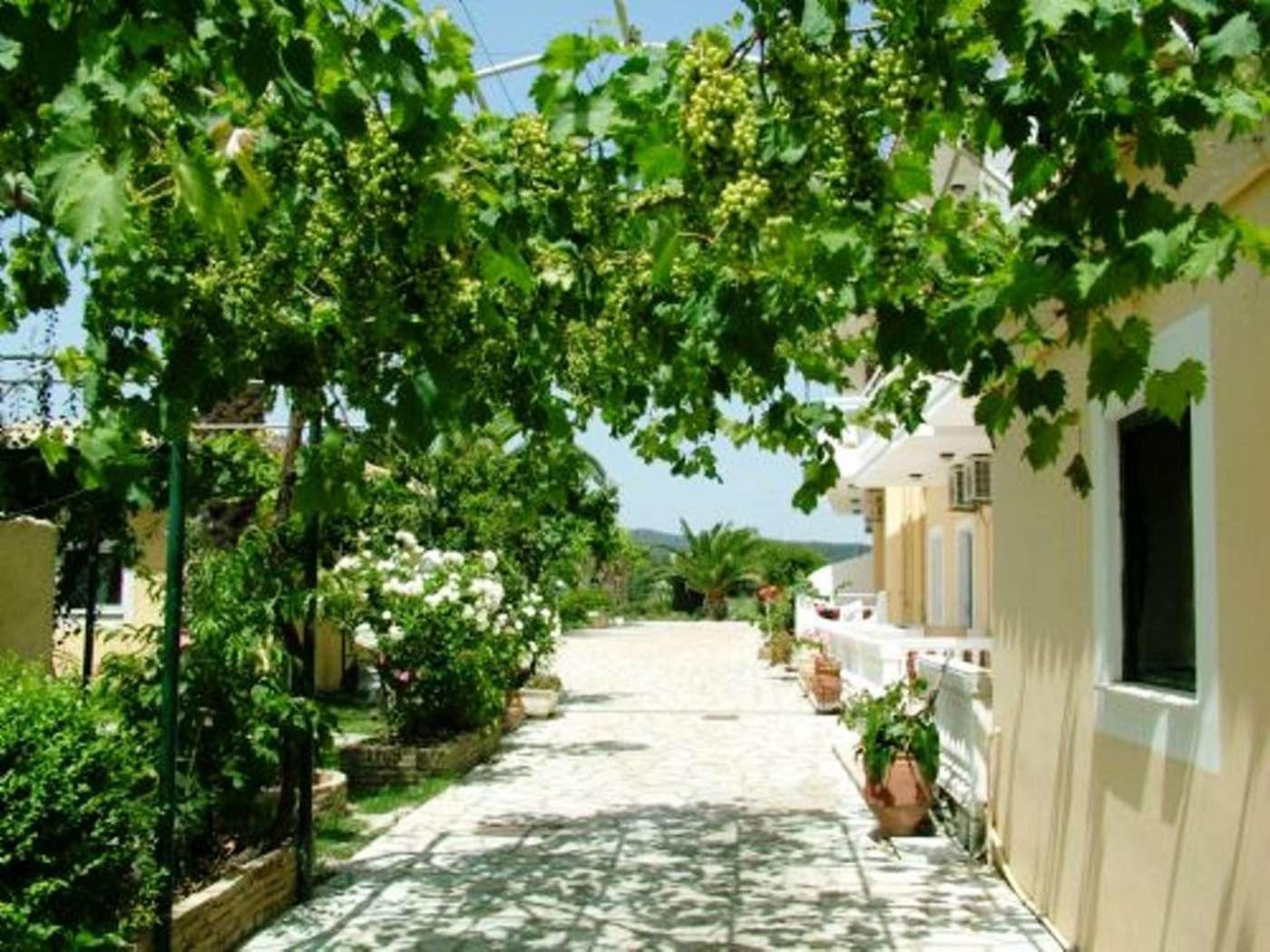 Blue-Sea---Argyrades-Beach-Terrace-1