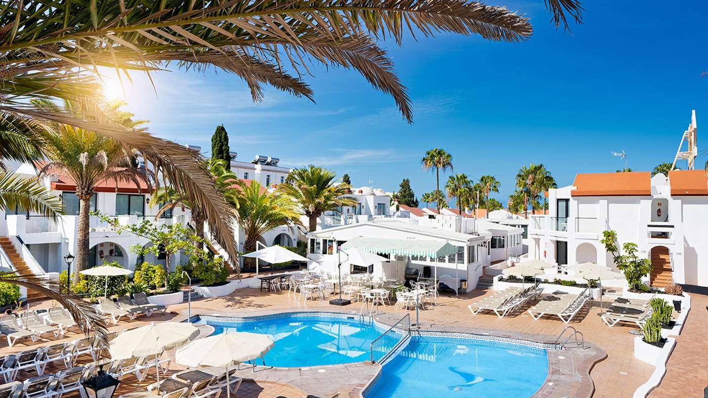 Pool area with sun loungers and palm trees