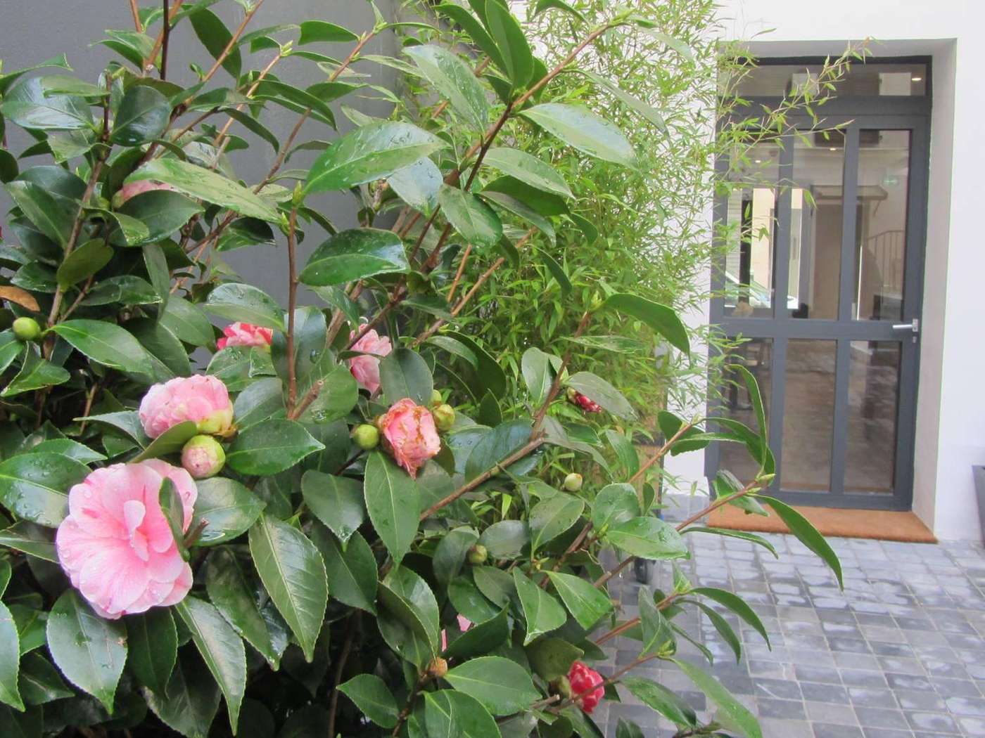 Mirabeau-Eiffel-Room-1