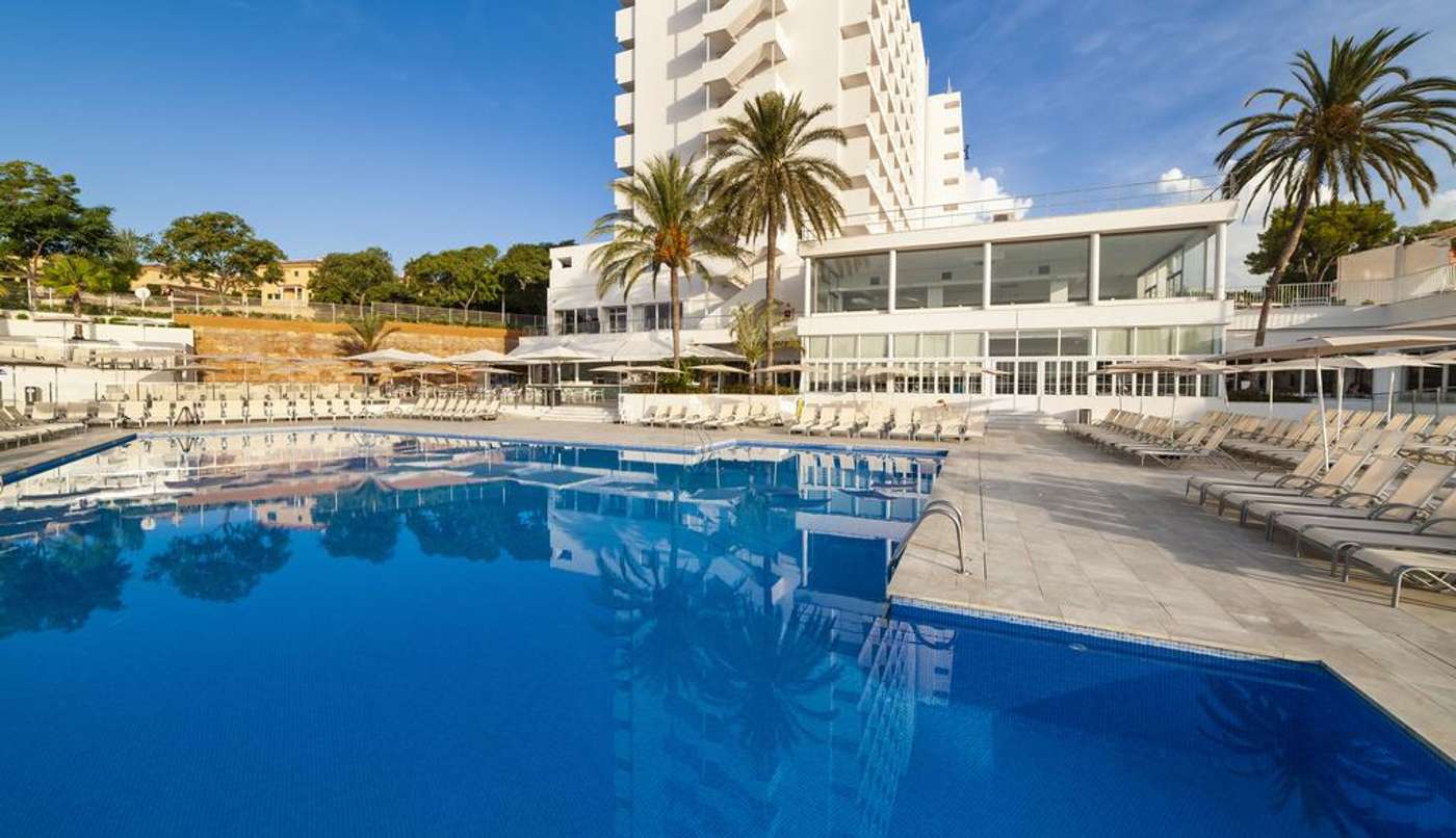 Globales Mimosa in Balearics, Majorca, Spain