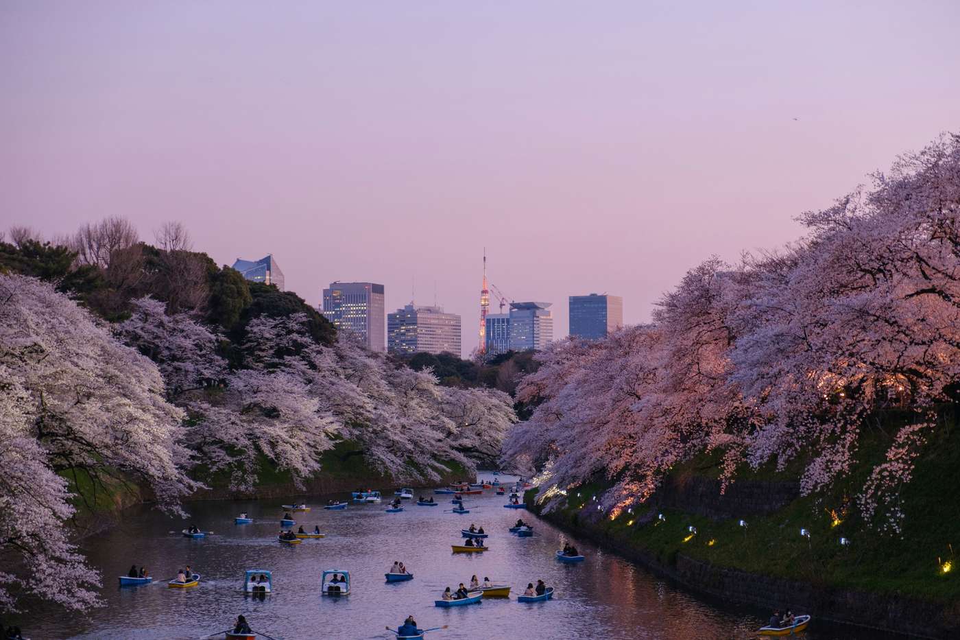 Tokyo Overview