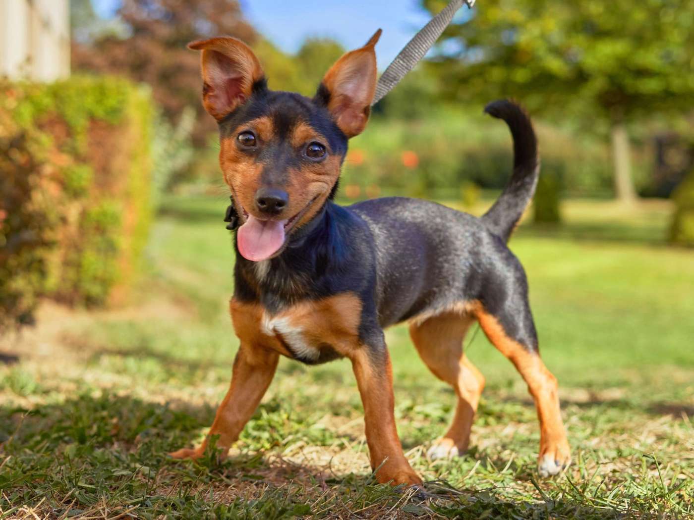 Novotel Antwerpen-Belgium-ANTWERPEN-General view-6