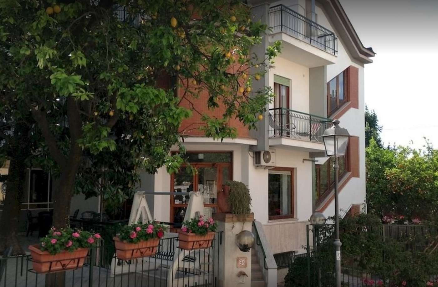 Angelina-General-view-1