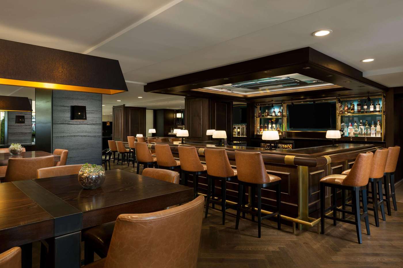 Standford Court Hotel - United States - SAN FRANCISCO - Bar - 0