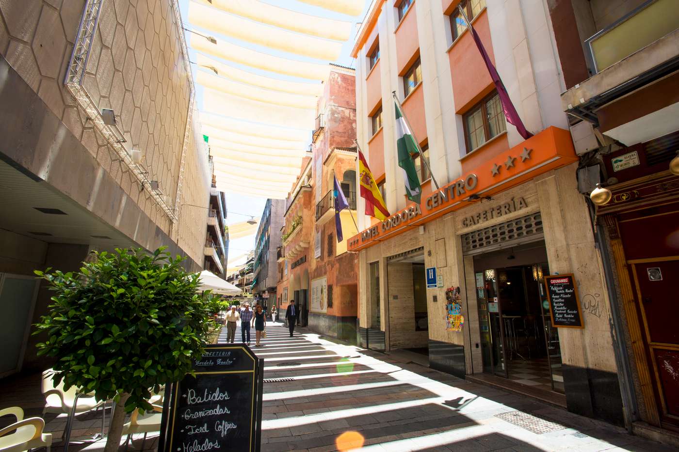 Cordoba Centro-Spain-CORDOBA-General view-4