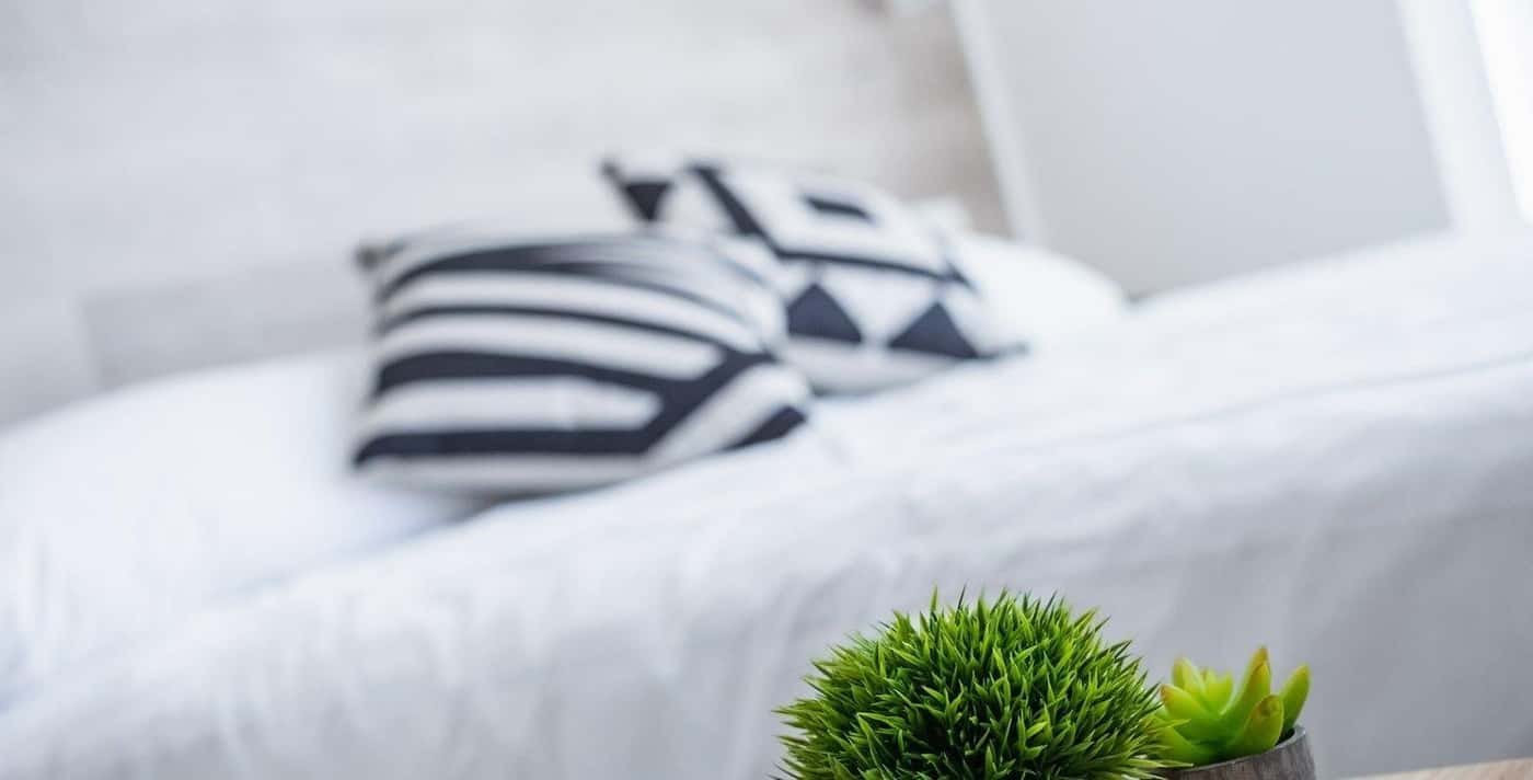 Mirotza Rooms-Spain-ORIO-Lobby-5