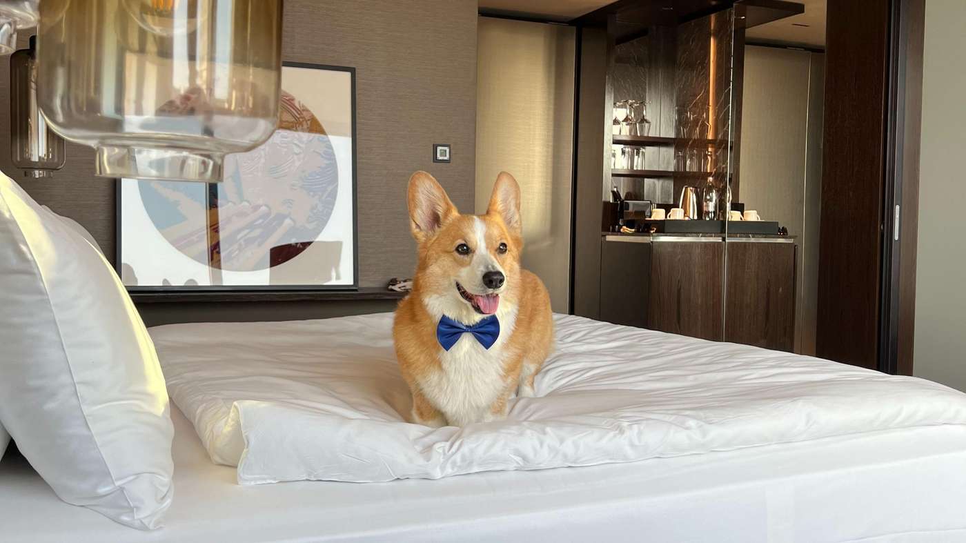 InterContinental Ljubljana-Slovenia-LJUBLJANA-General view-7