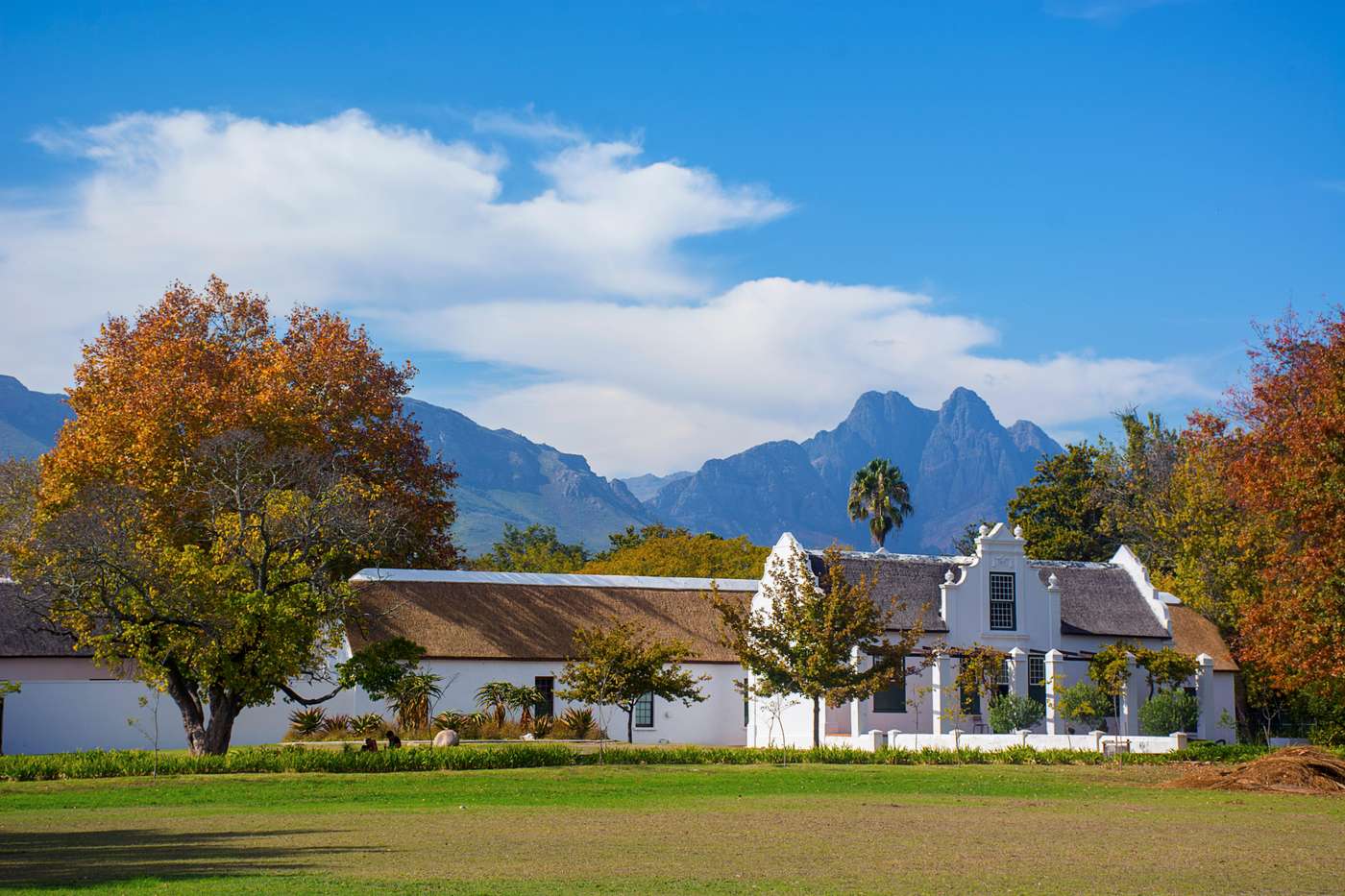 Holiday-Inn-Express-Cape-Town-City-Centre-General-view-1