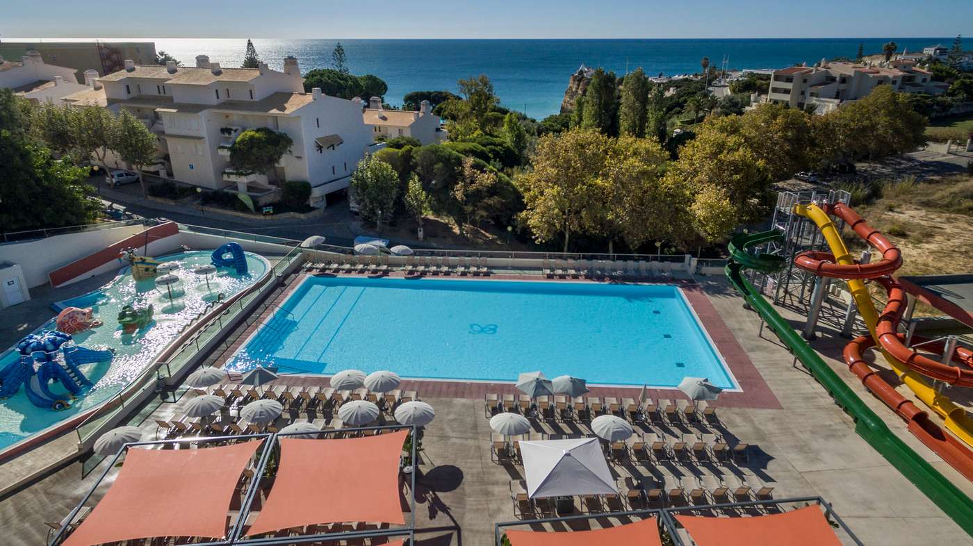 19.01.26 Ukino Palmeiras