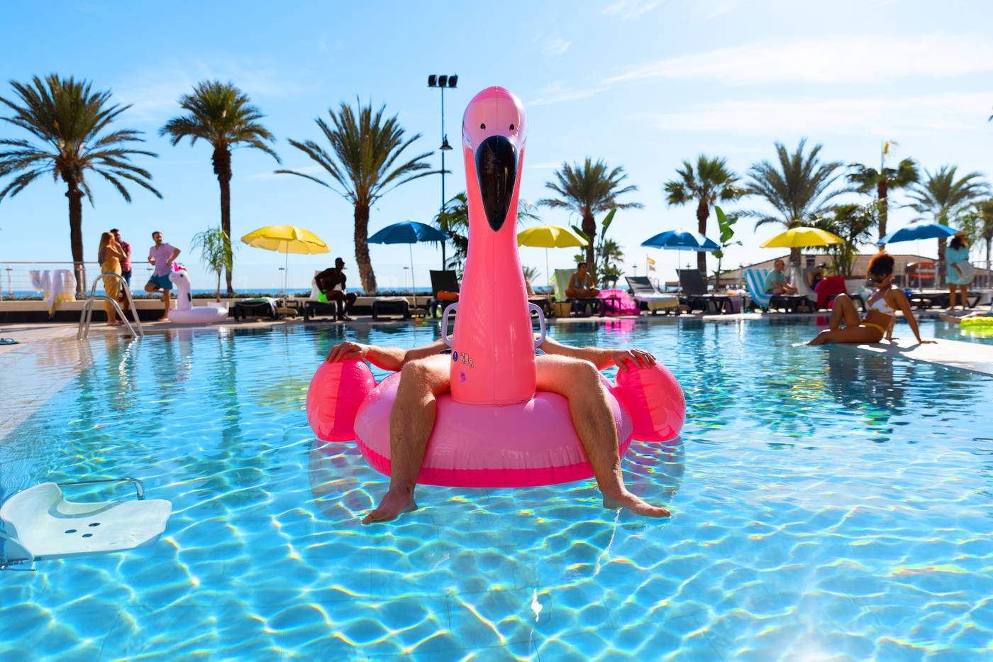 Person on inflatable flamingo in pool