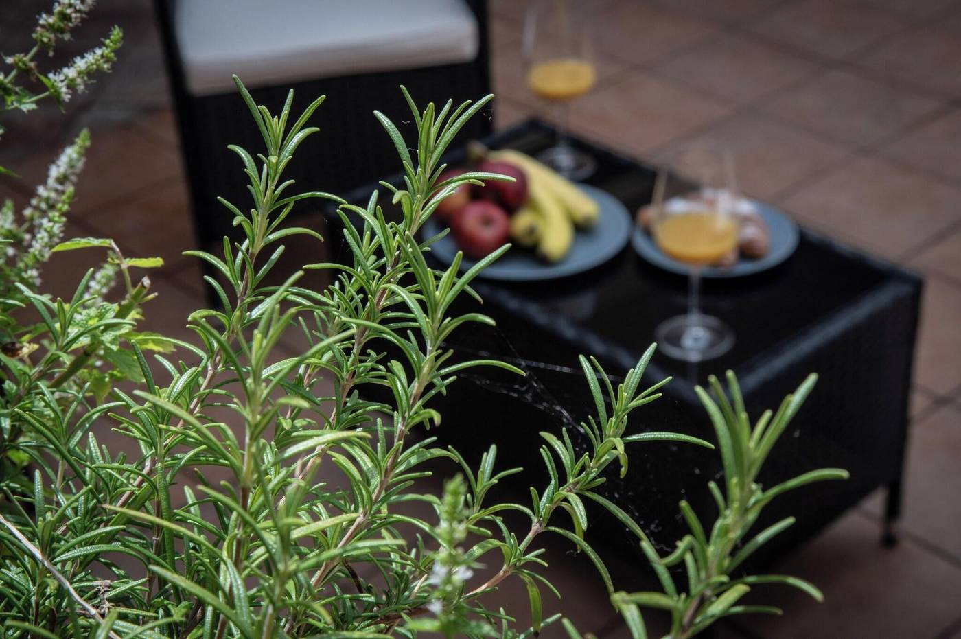 Boutique-Apartments-White-Swan-Terrace-82