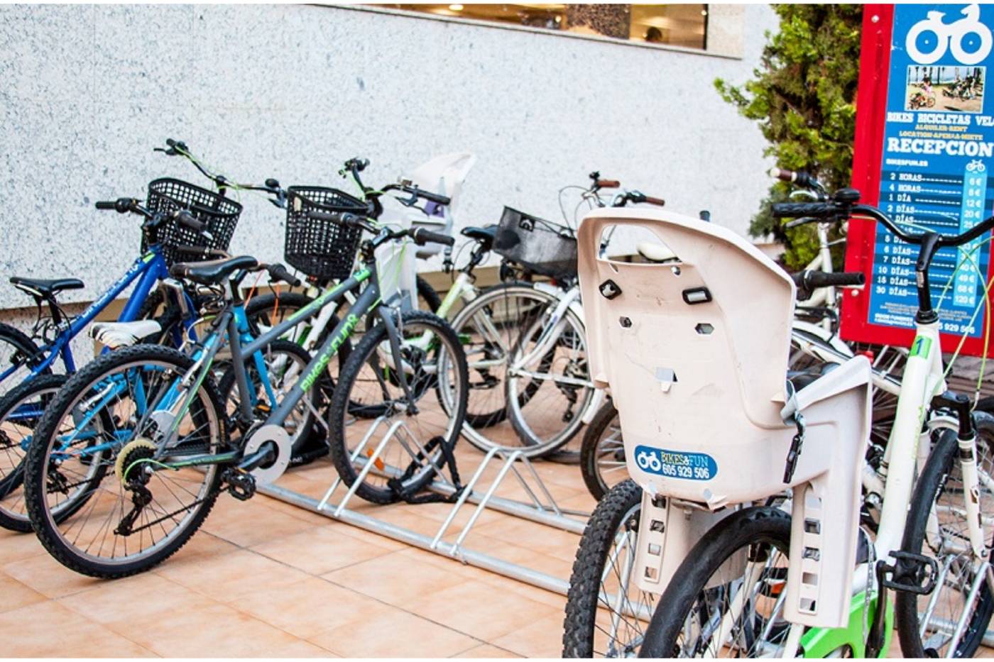 Olimar-II-Sports-and-Entertainment-9