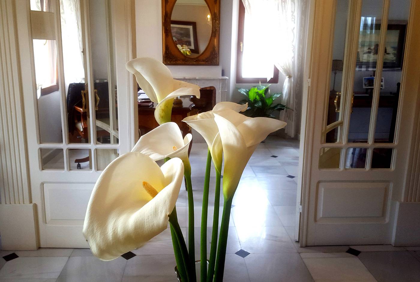 Hotel El Indiana-Spain-LLANES - ASTURIAS-Lobby-7