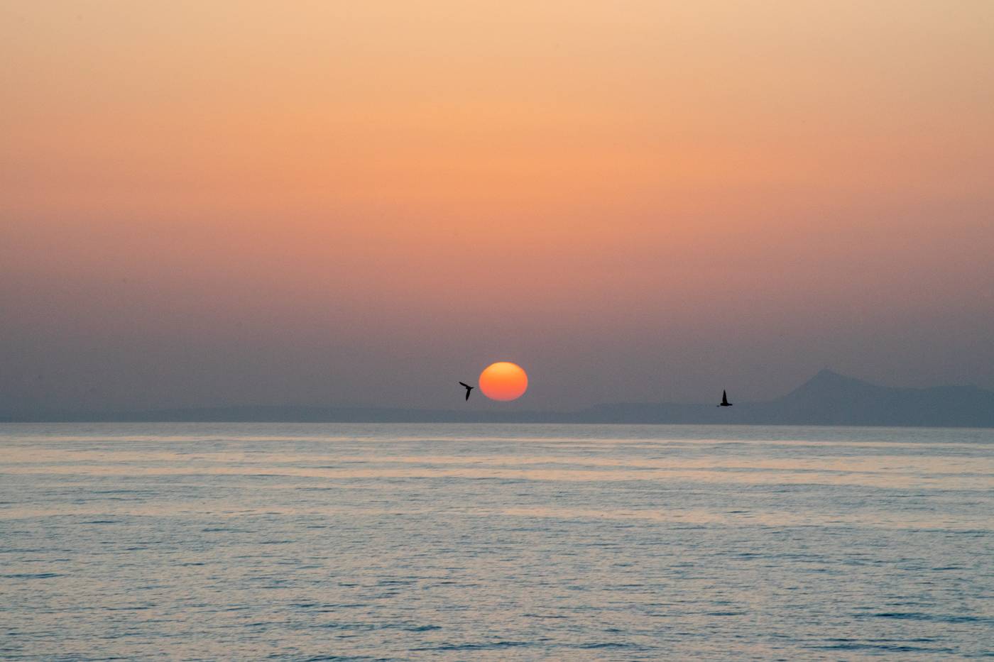 Thalassi-Restaurant-62