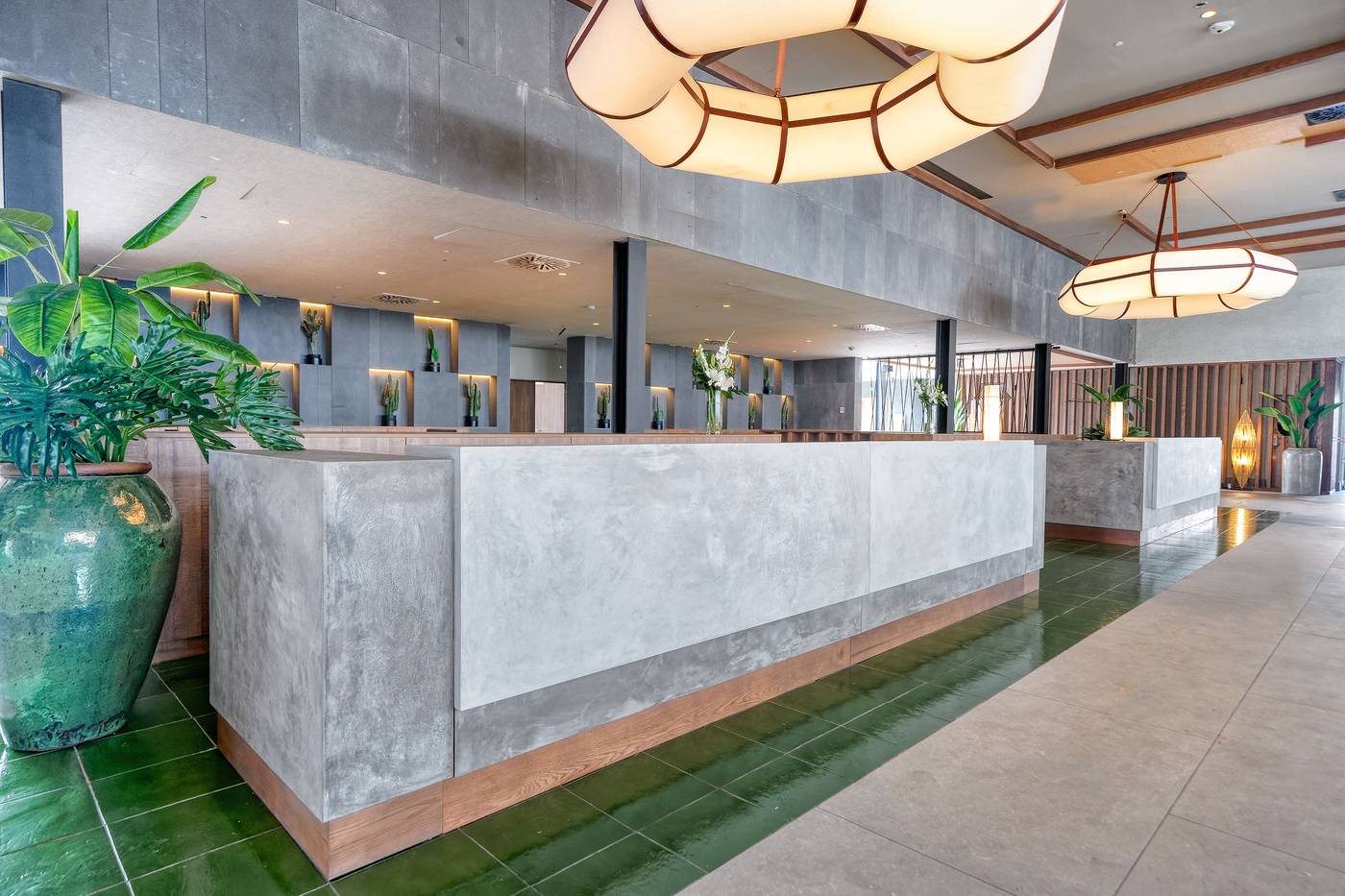 02/01/26 Hovima costa Adeje