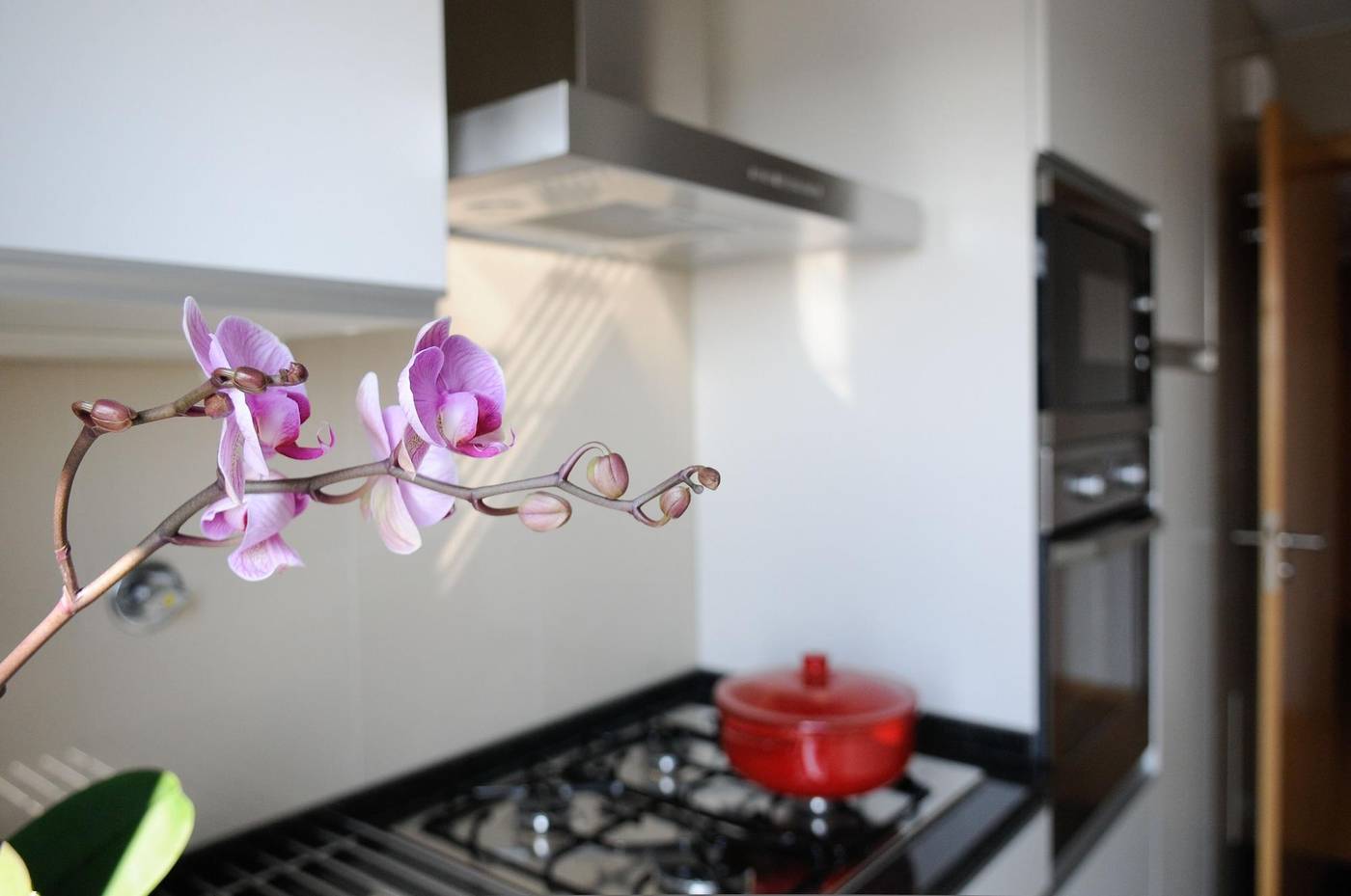 Panoramic-Living-Room-30