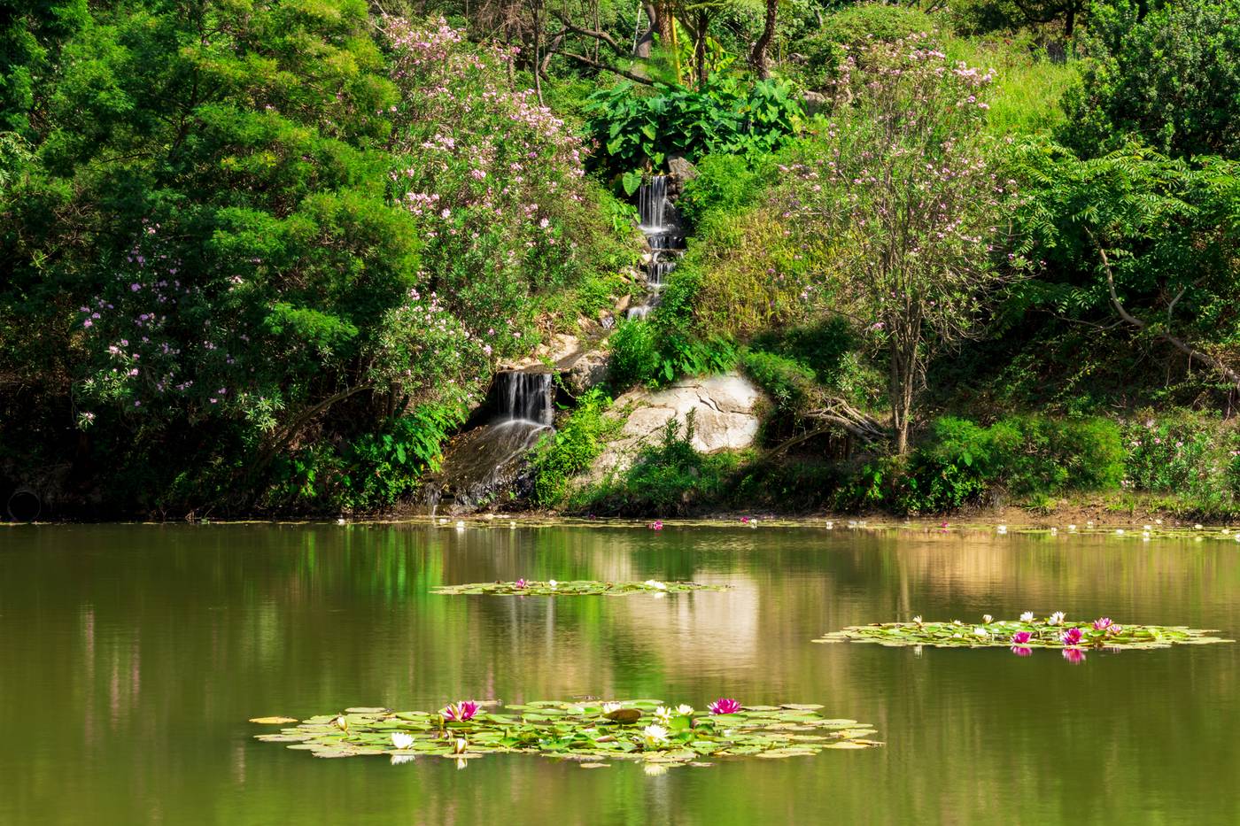 Arbatax-Park-Resort---Telis-General-view-8