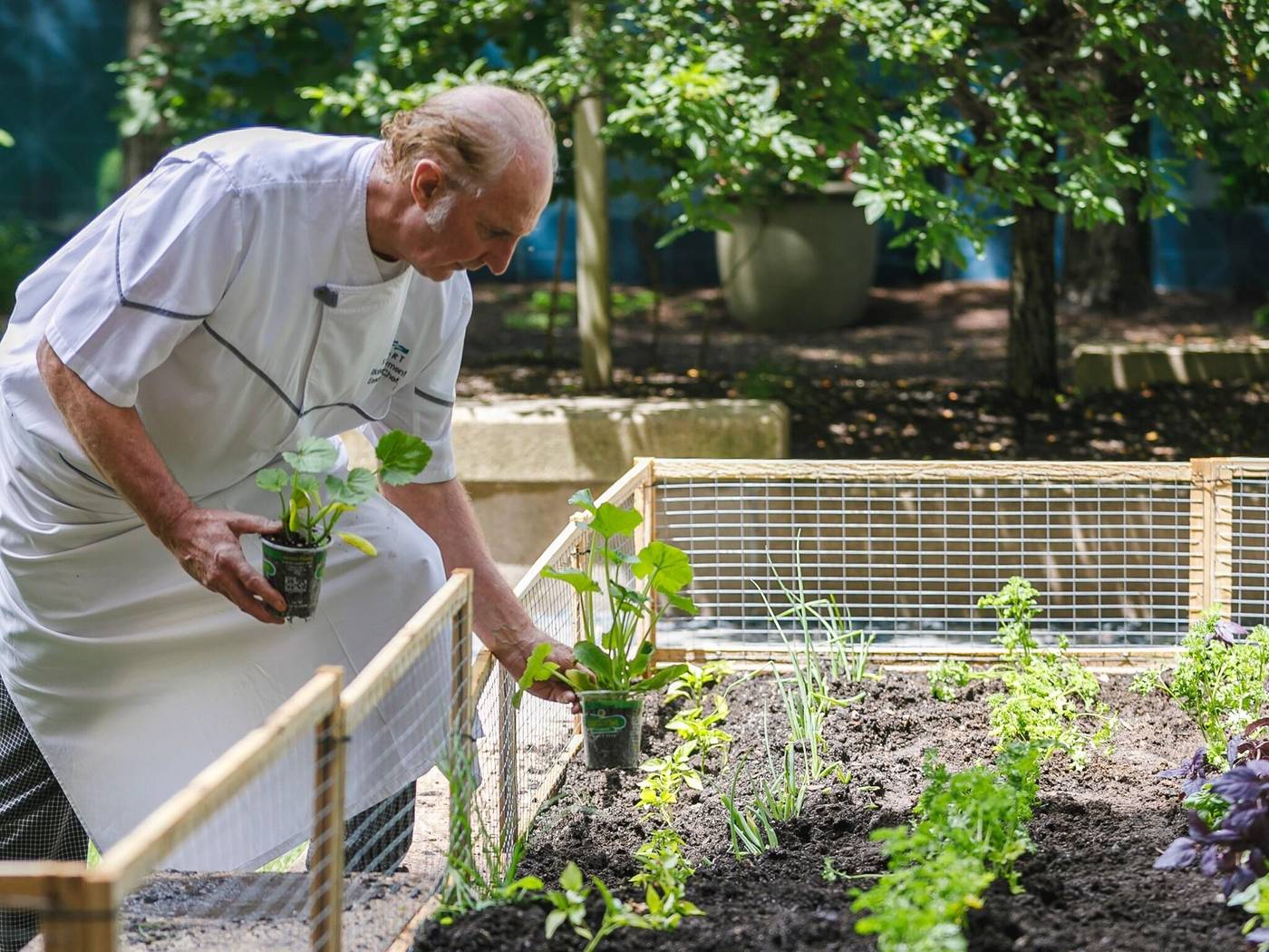Seaport-Boston-Hotel-Terrace-33