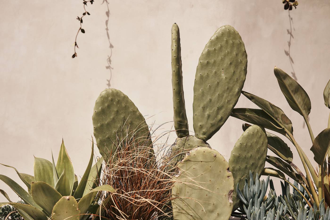 Amyth-of-Mykonos-Hotel-Lobby-41