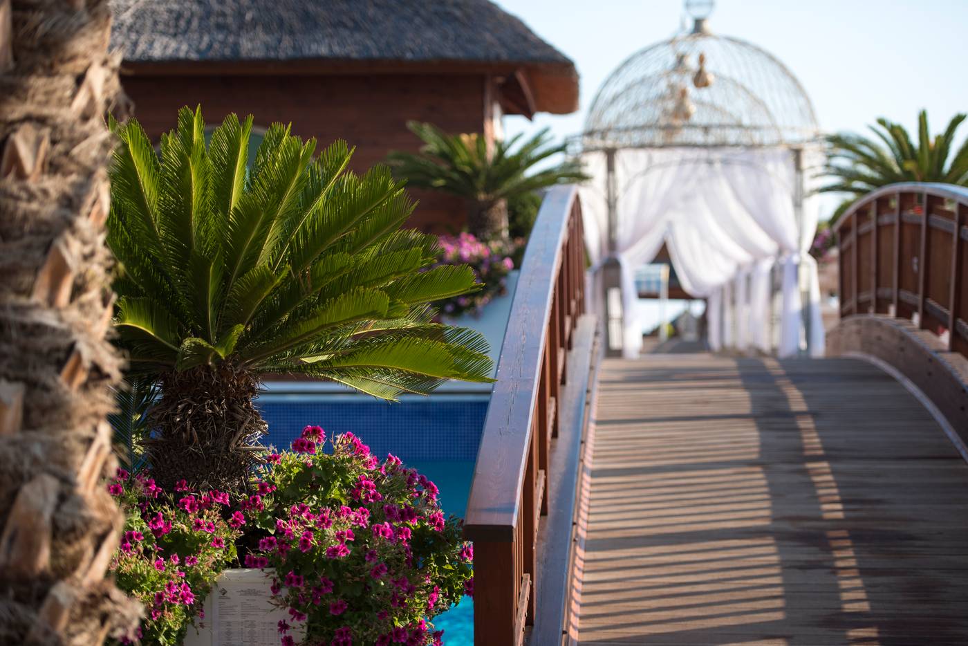 Quattro-Beach-Spa---Resort-Hotel-General-view-18