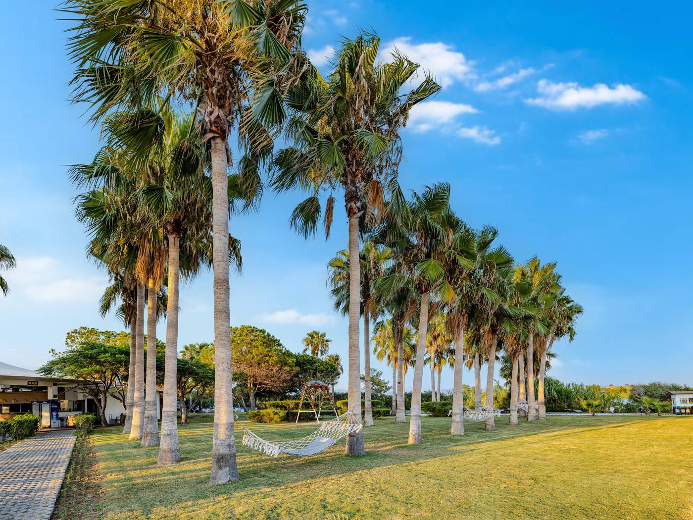 Washington Hotel Resort & Spa