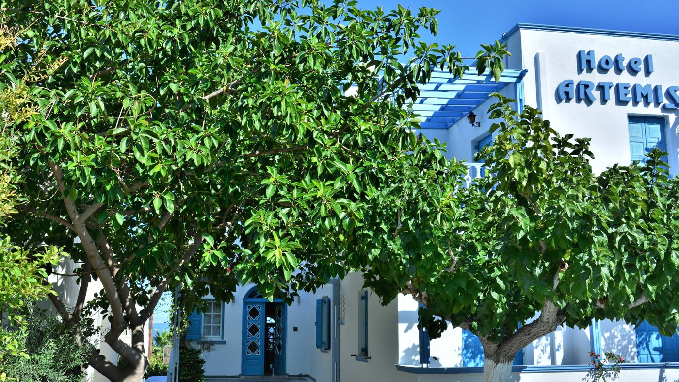 Artemis-Hotel-Kamari-General-view-19